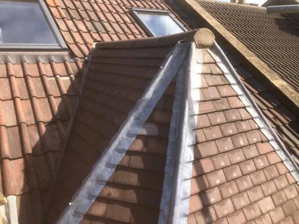 a brown roof with a skylight and a window